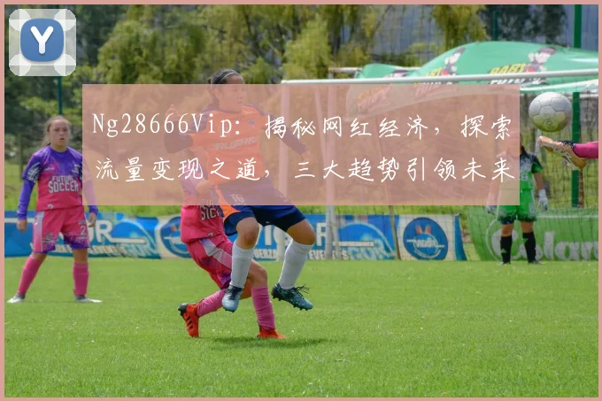 Ng28666Vip:揭秘网红经济,探索流量变现之道,三大趋势引领未来